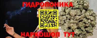 бошки Лесосибирск
