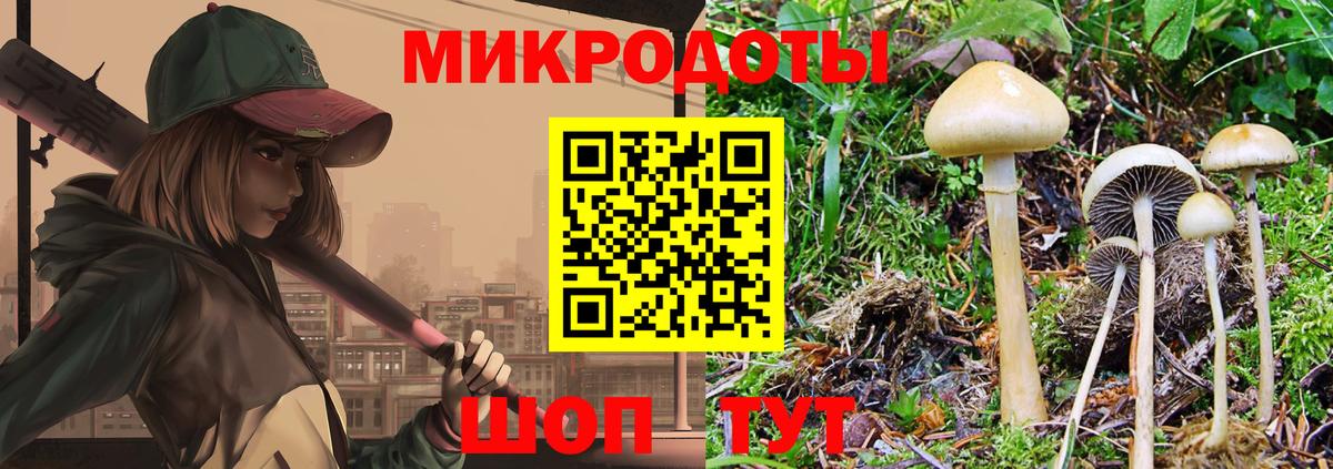 Галлюциногенные грибы Psilocybine cubensis Добрянка